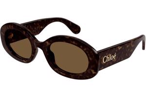 Chloe CH0258S 002 - ONE SIZE (53)