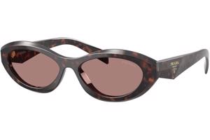 Prada PR26ZS 17N60B - ONE SIZE (55)