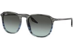 Ray-Ban RB2203 1391GK - L (55)