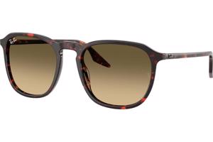 Ray-Ban RB2203 14290A - L (55)