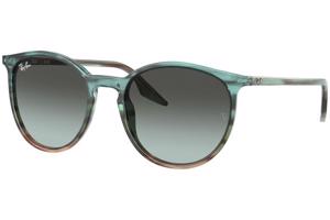 Ray-Ban RB2204 1394GK - M (51)