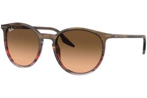 Ray-Ban RB2204 13953B - L (54)