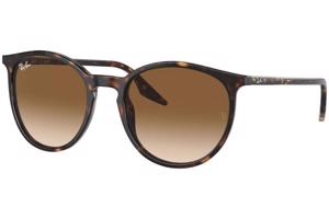 Ray-Ban RB2204 902/51 - L (54)