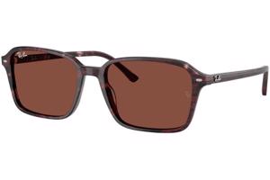 Ray-Ban RB2231 1416C5 - M (56)