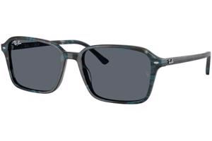 Ray-Ban RB2231 1417R5 - L (58)