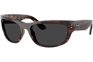 Ray-Ban RB2289 902/48 Polarized - L (63)