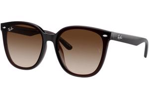 Ray-Ban RB4423D 714/13 - ONE SIZE (66)