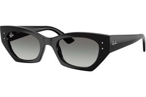 Ray-Ban RB4430 667711 - M (49)