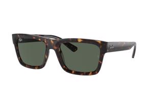 Ray-Ban Warren RB4396 135971 - M (54)