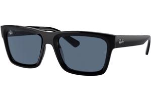 Ray-Ban Warren RB4396 667780 - L (57)