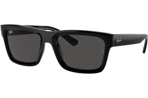 Ray-Ban Warren RB4396 667787 - L (57)