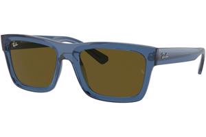 Ray-Ban Warren RB4396 668073 - L (57)